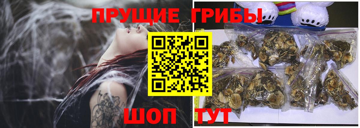 Псилоцибиновые грибы Magic Shrooms  Вход с VPN  Псилоцибиновые грибы Psilocybine cubensis  Балашов 